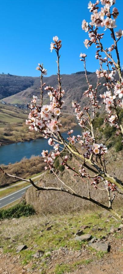 Ferienhaus Kaliva Zell an der Mosel Eksteriør bilde